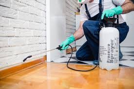 Best Fumigation Services  in Wyldwood, TX